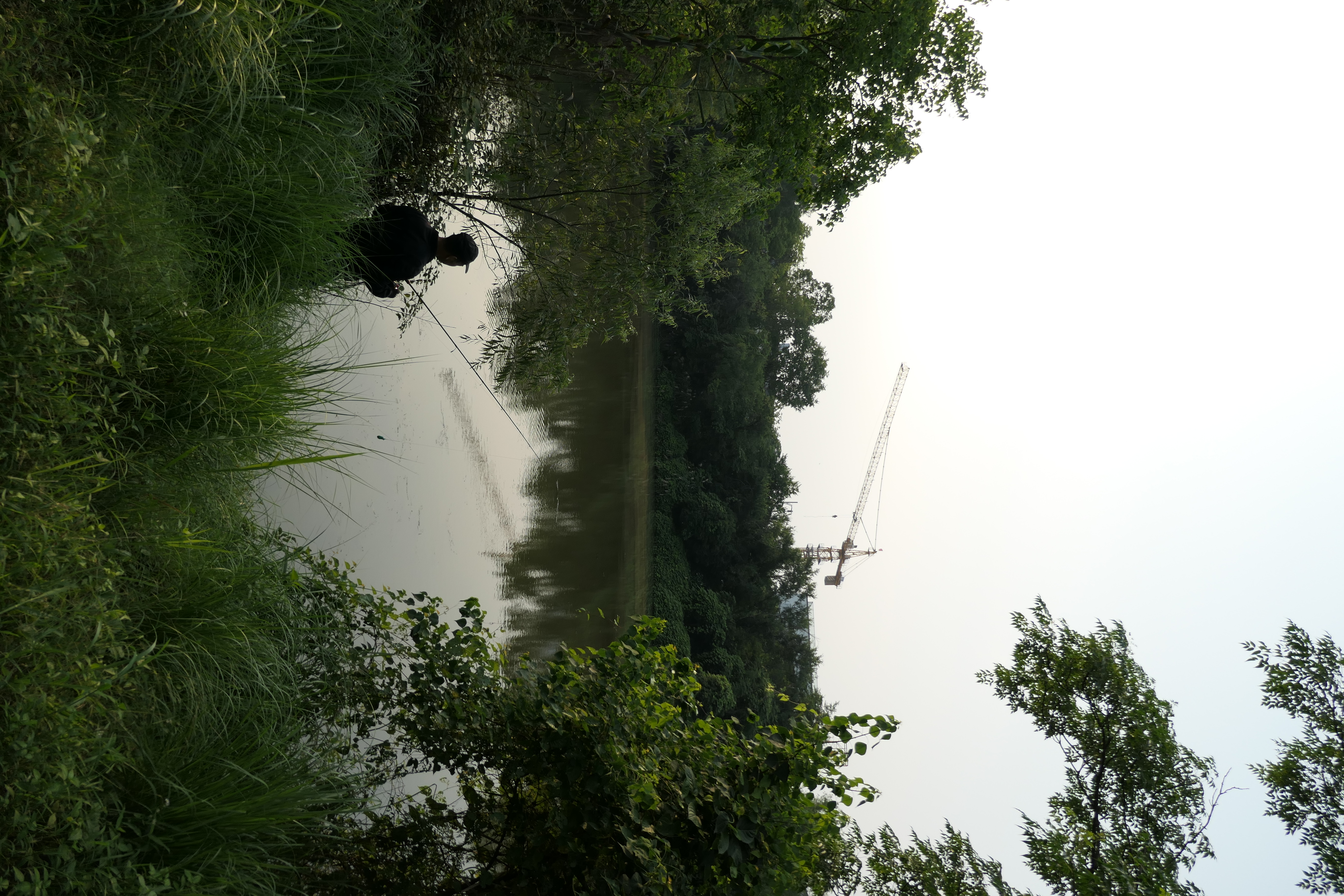Everyday photograph 05