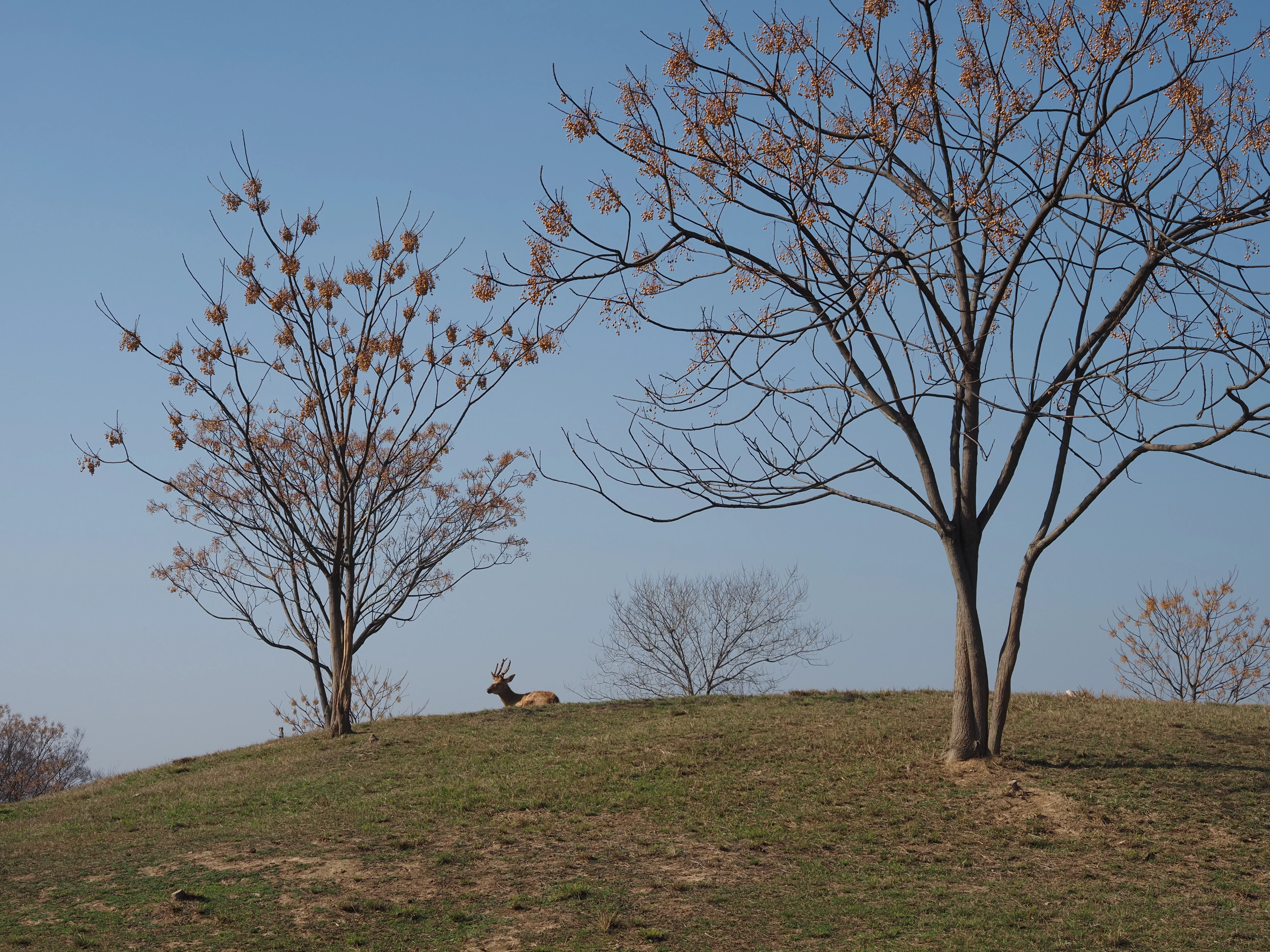 Everyday photograph 09