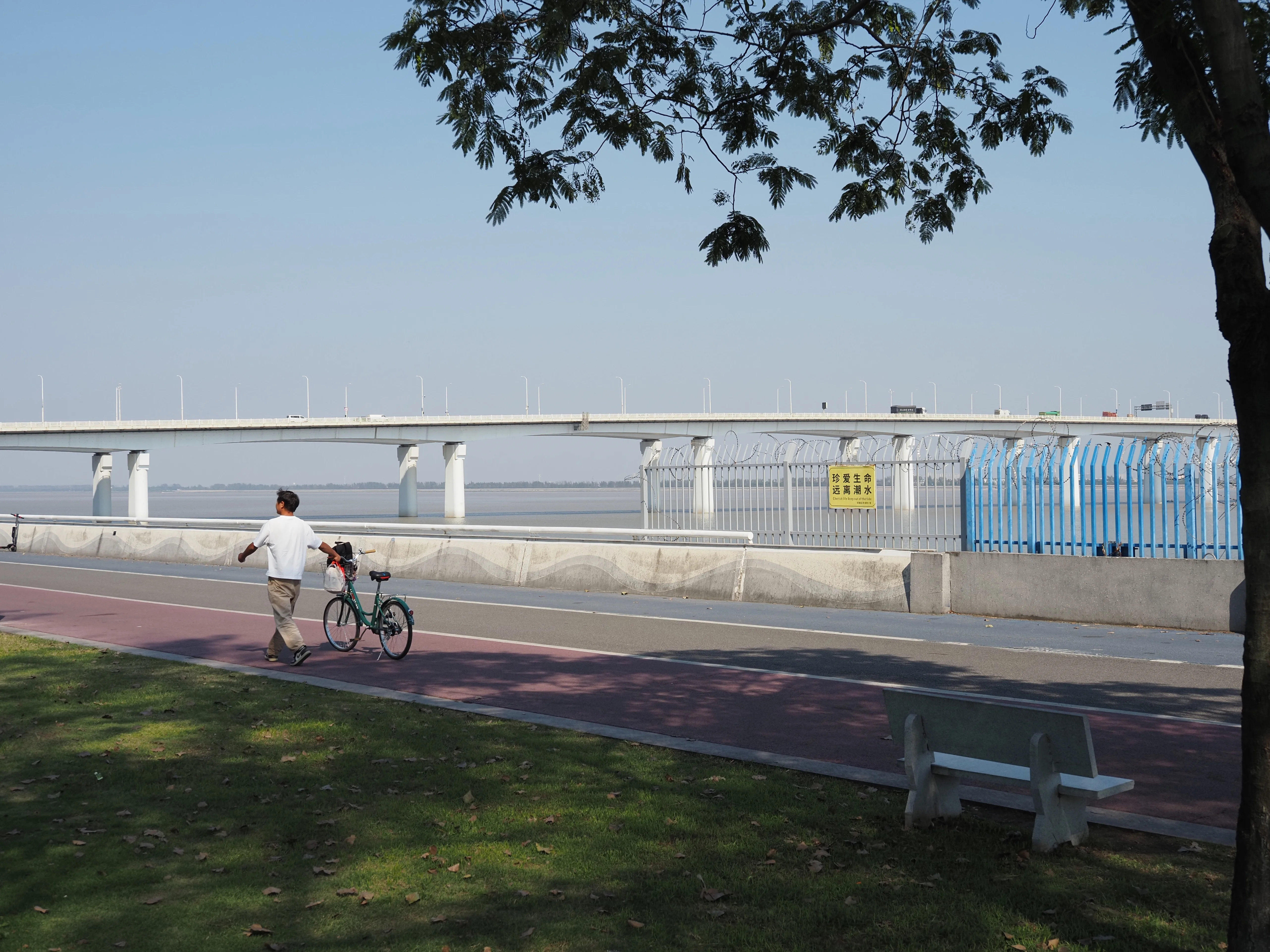 Everyday photograph 12