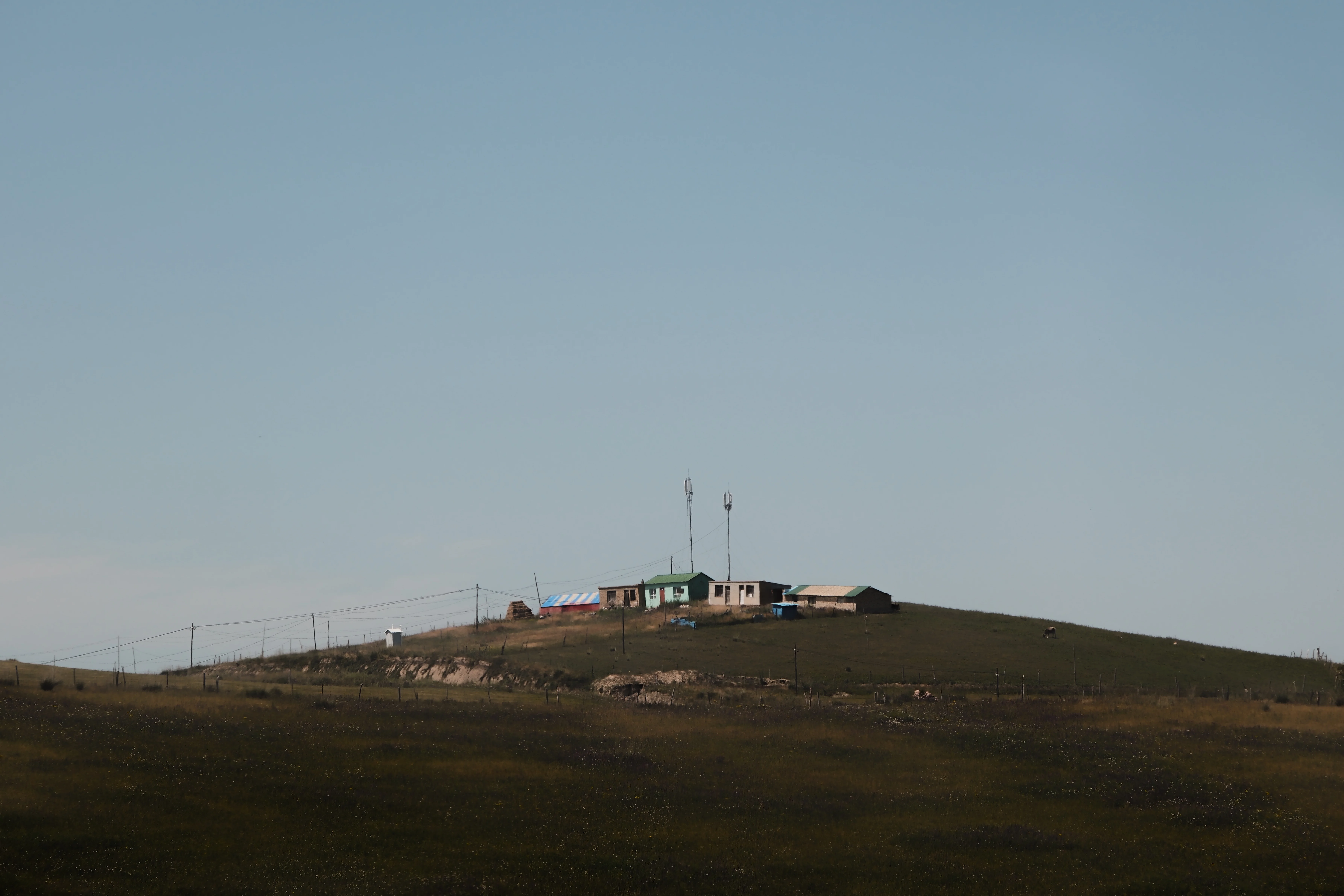 Living Landscapes / 02
