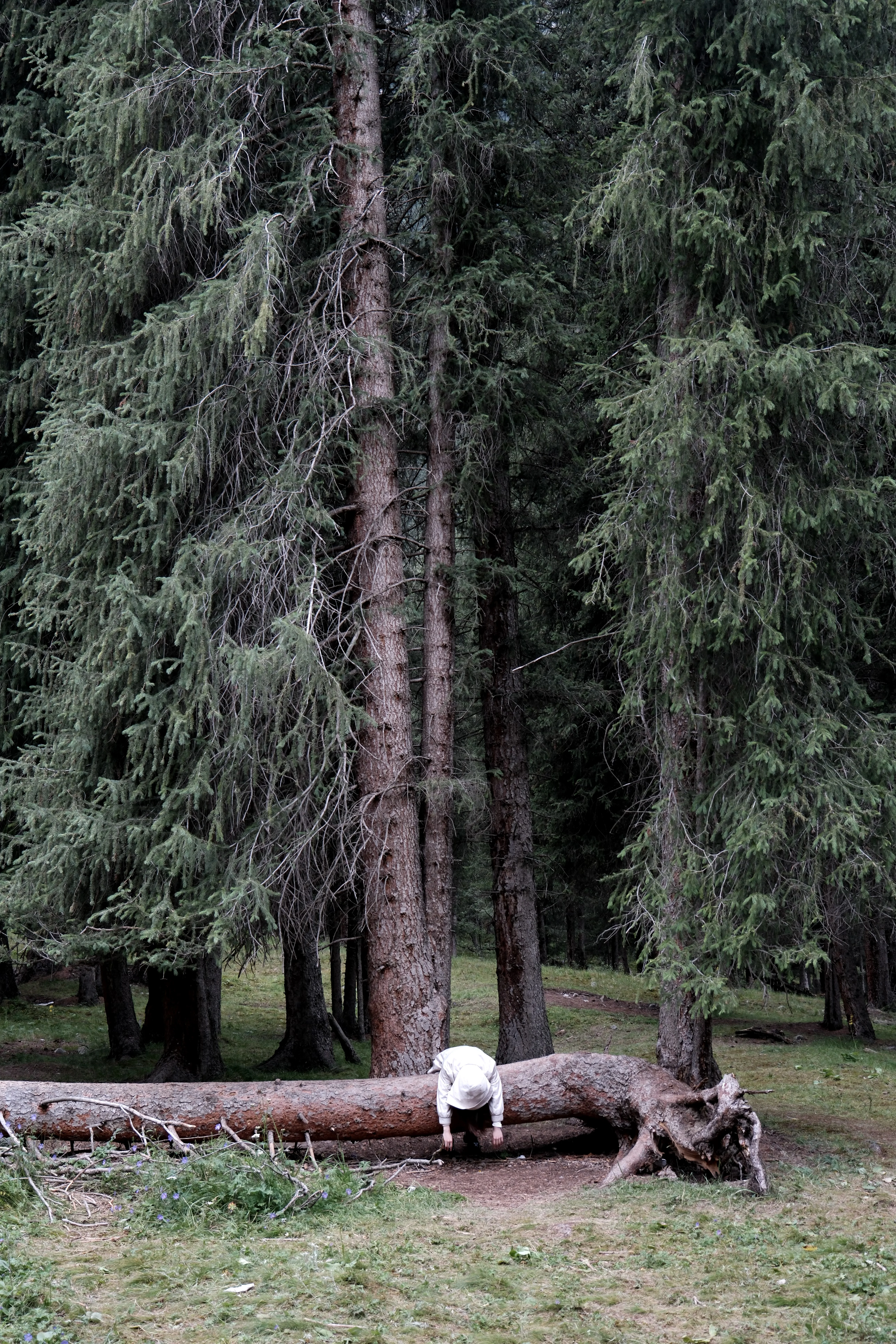 Living Landscapes / 08