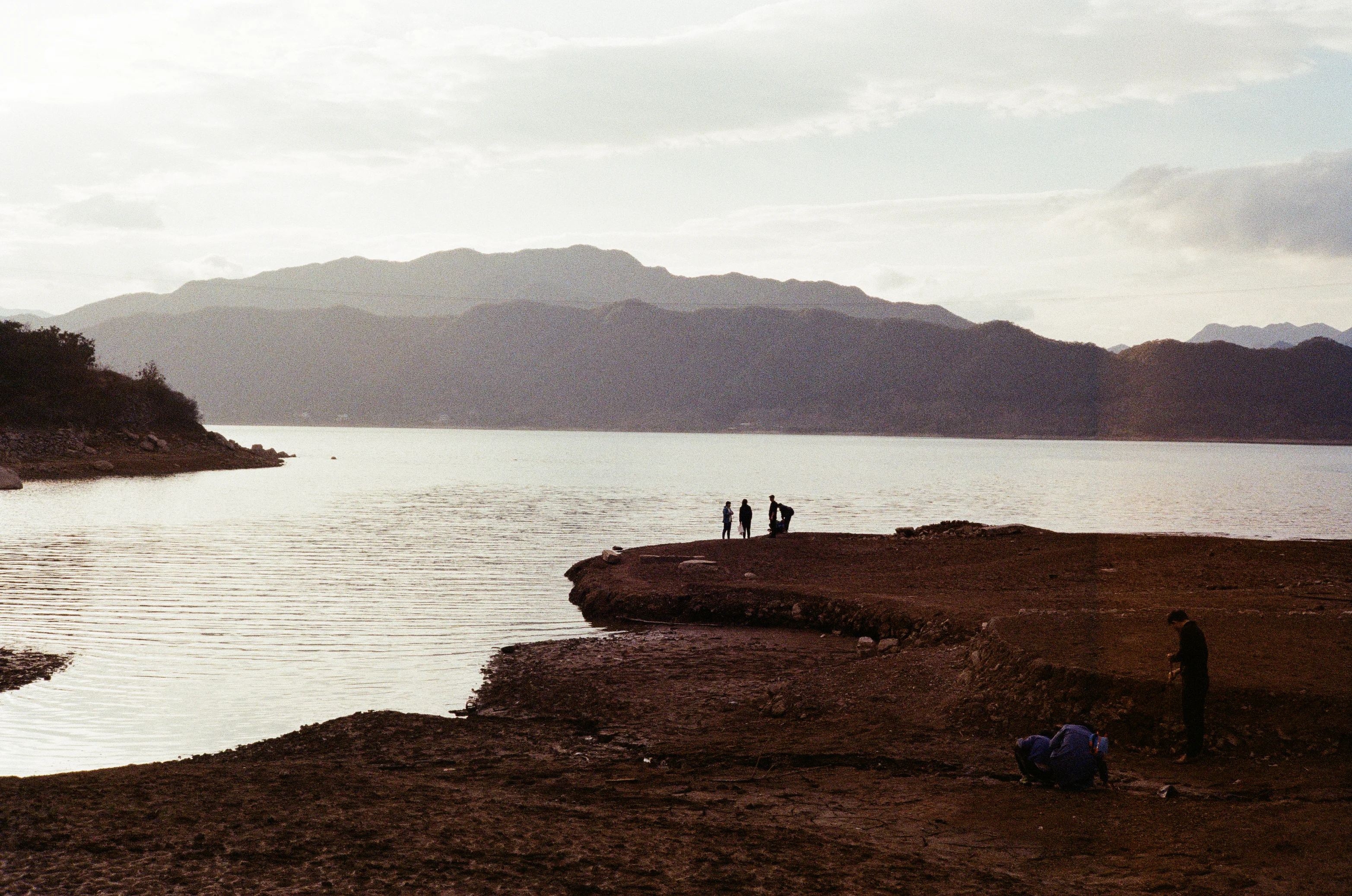 Living Landscapes / 14