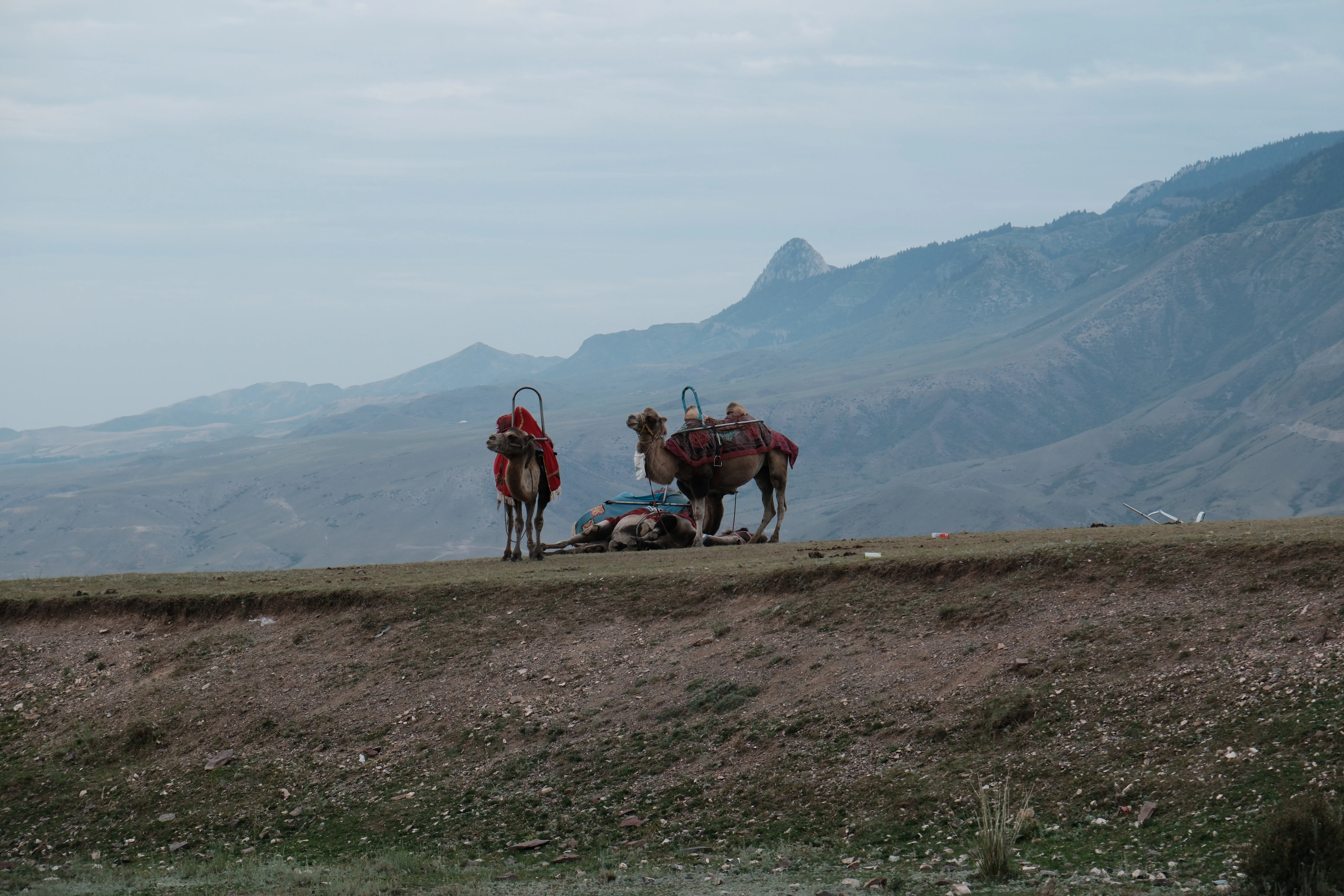 Xinjiang photograph 01