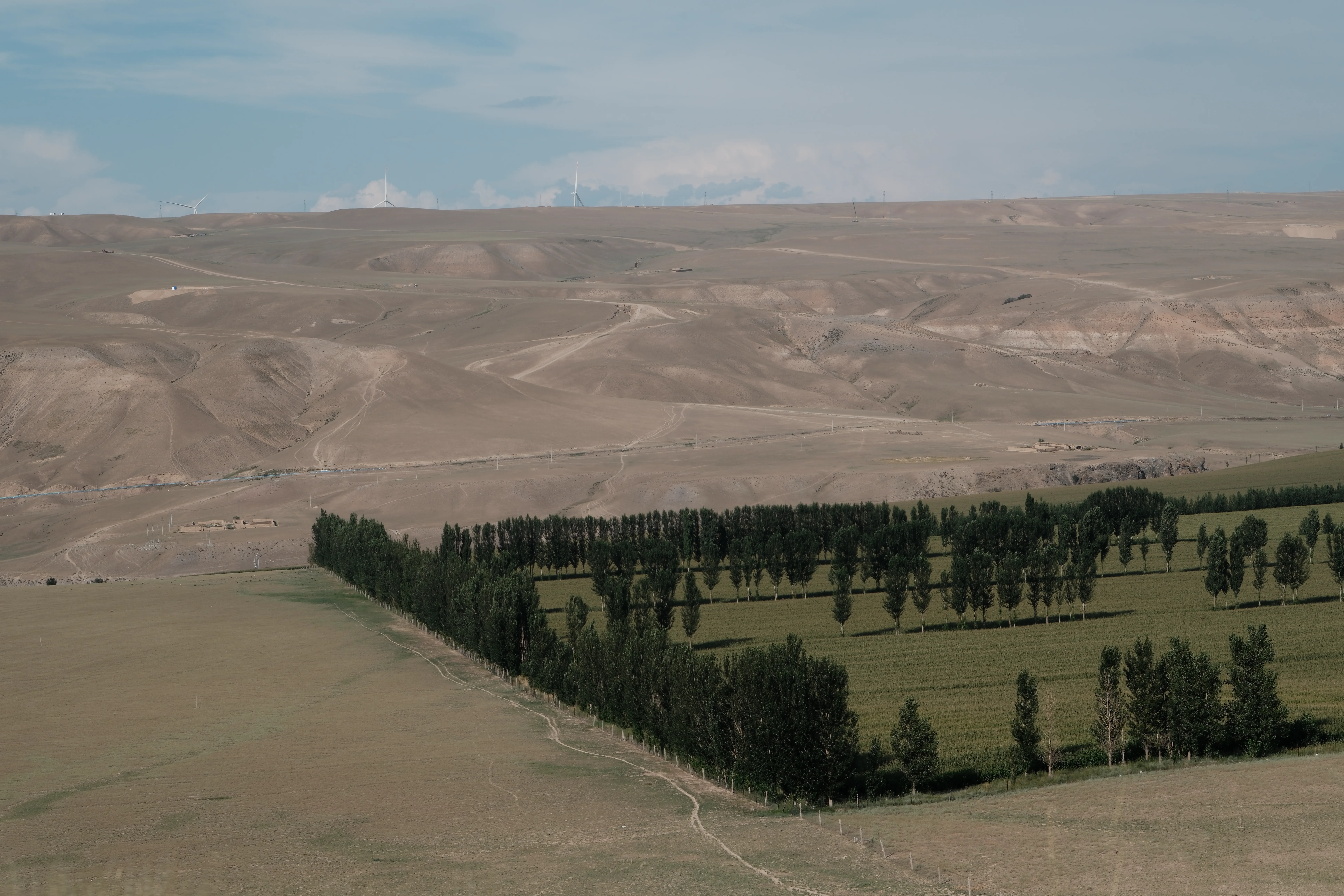 Xinjiang photograph 06