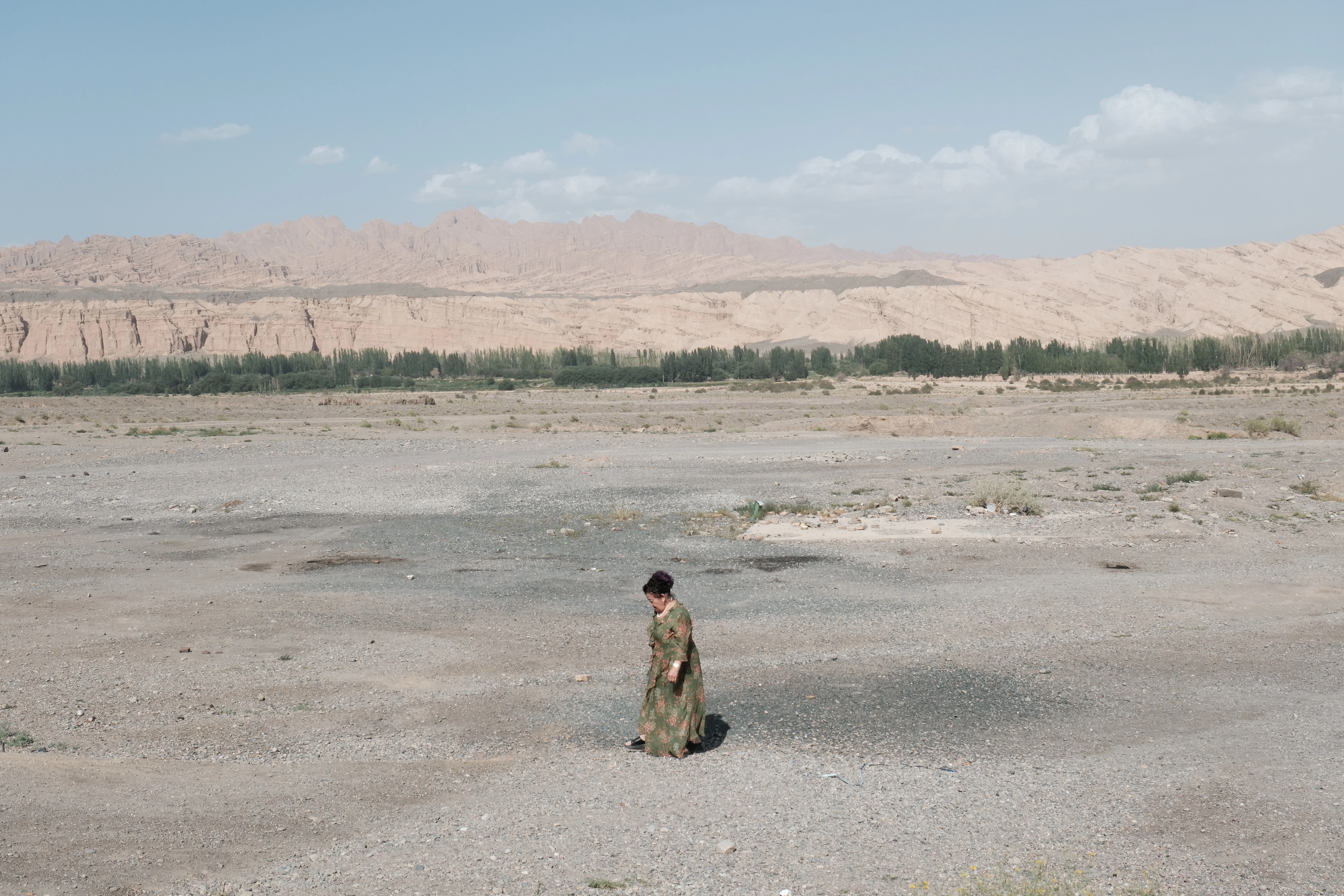 Silent landscape photograph 15