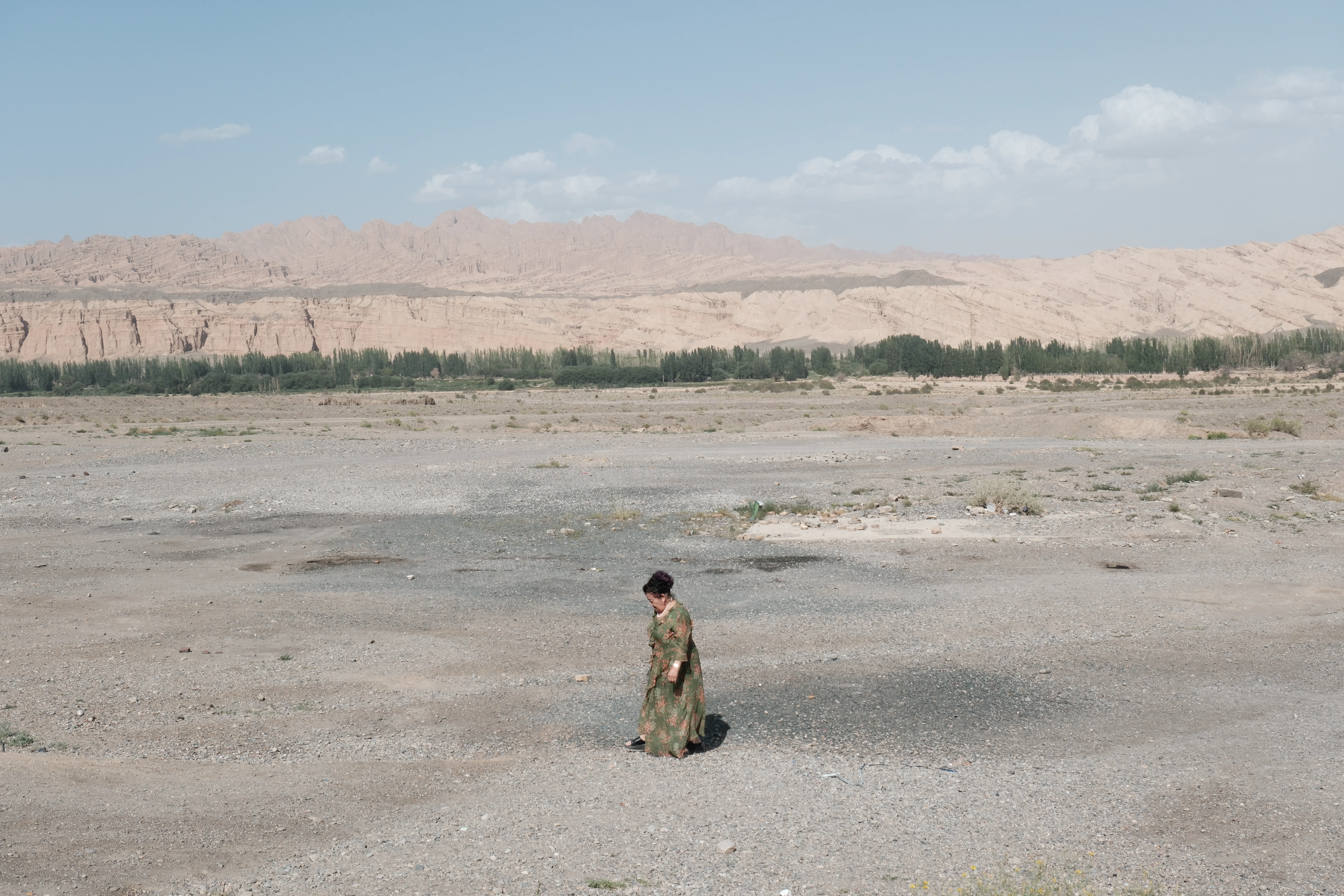 Silent landscape photograph 15