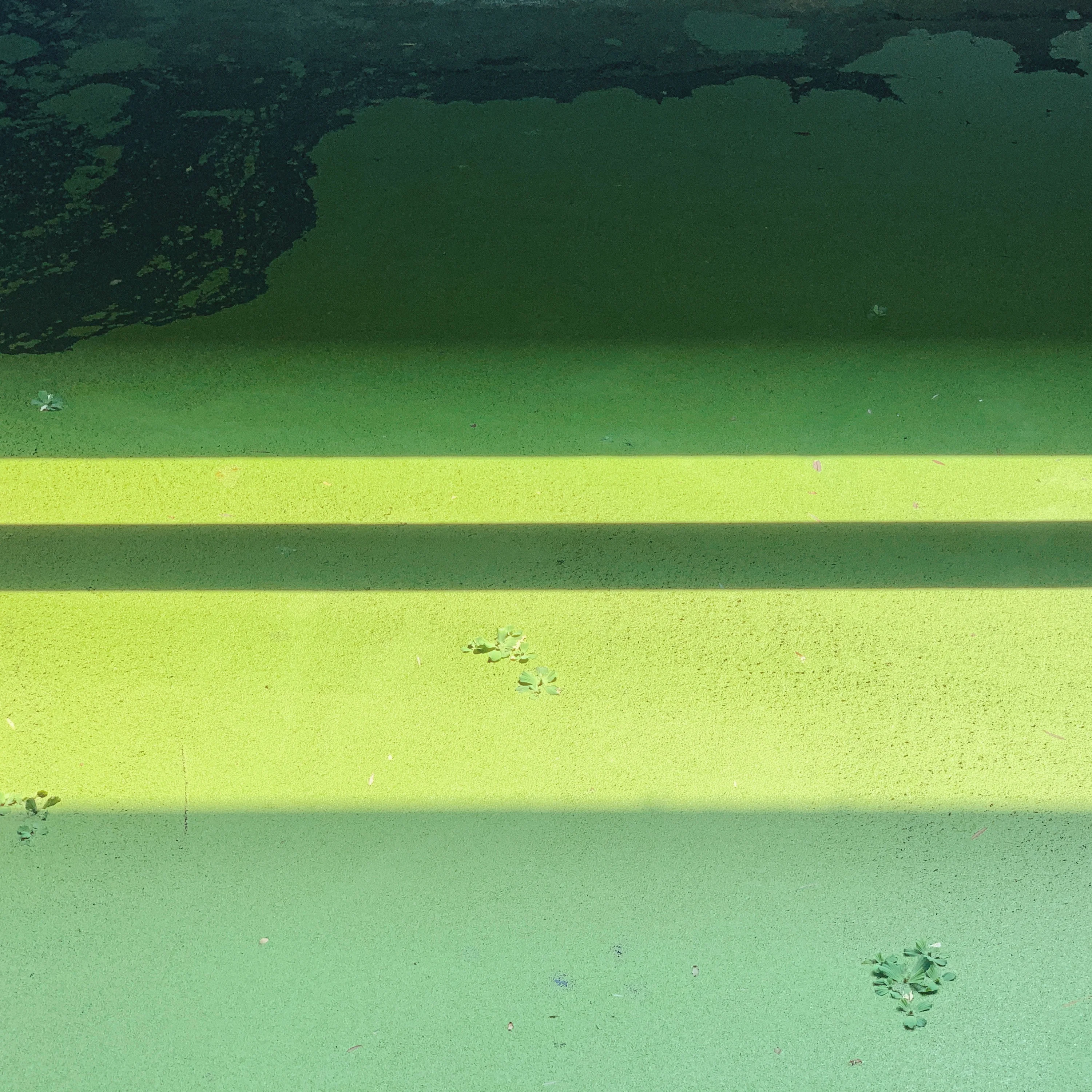 Stillness & Form / 12
